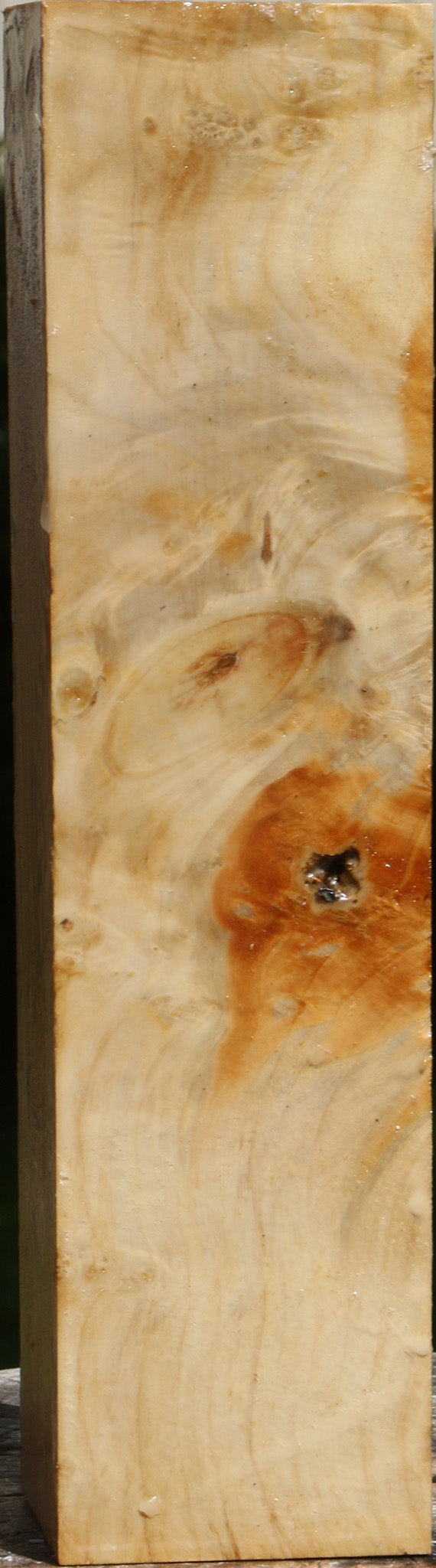 Figured Box Elder Peppermill