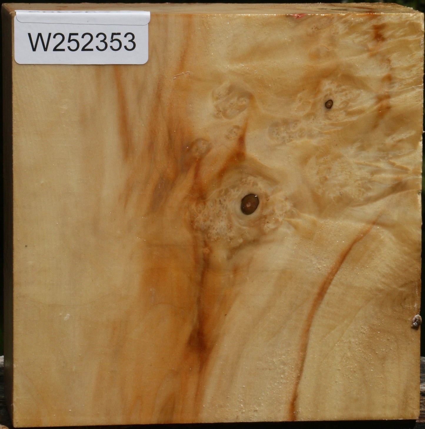 Box Elder Bowl Blank