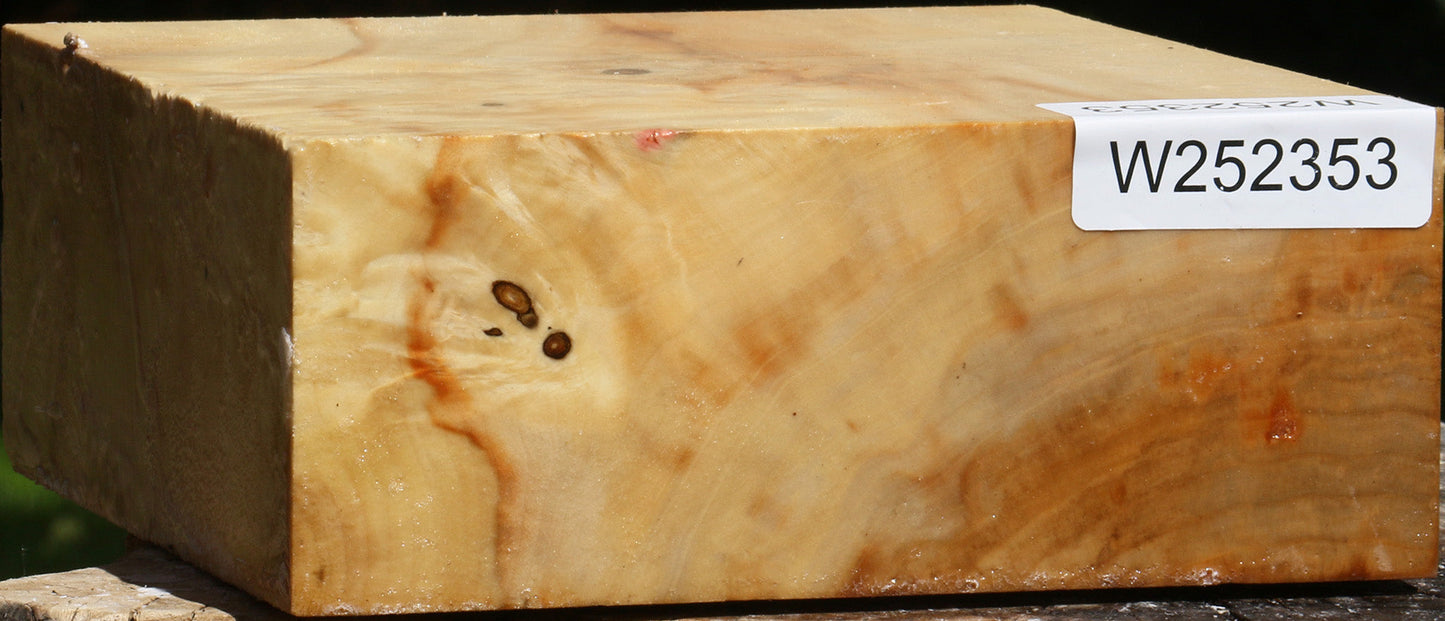 Box Elder Bowl Blank
