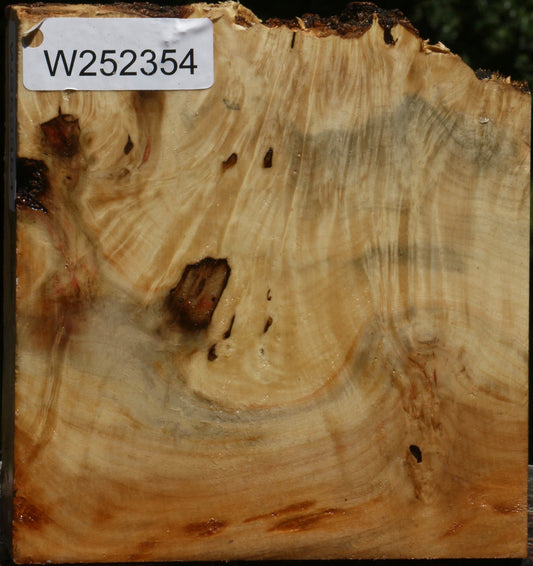 Rustic Box Elder Burl Live Edge Turning Blank