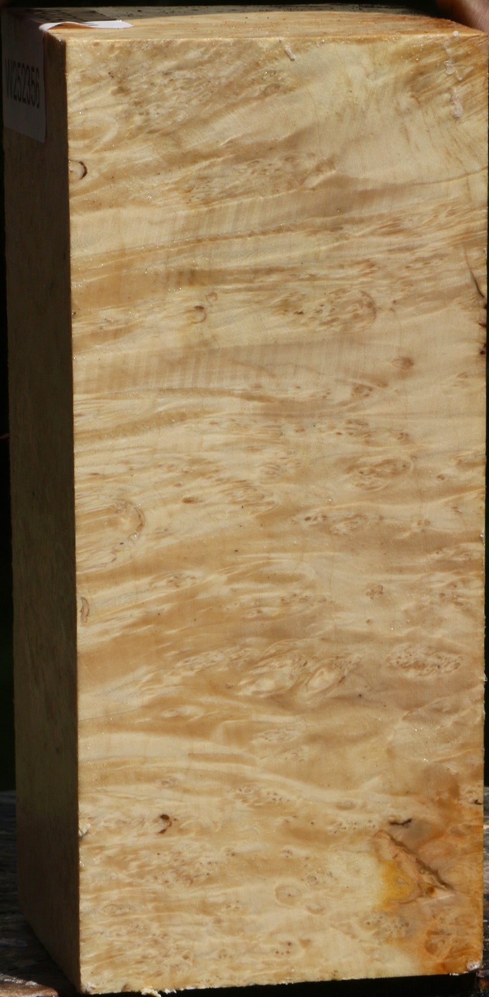 Box Elder Turning Square