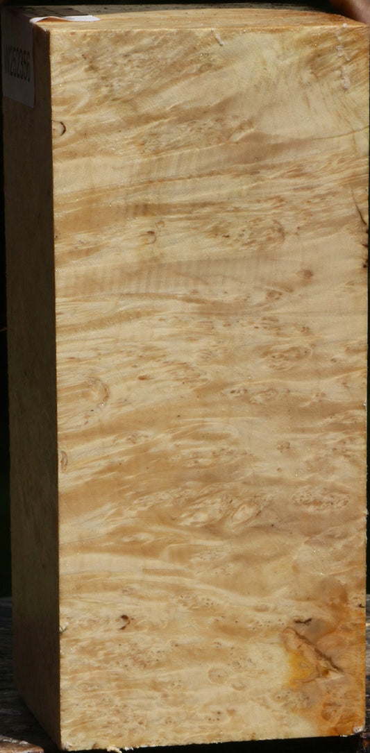 Box Elder Turning Square