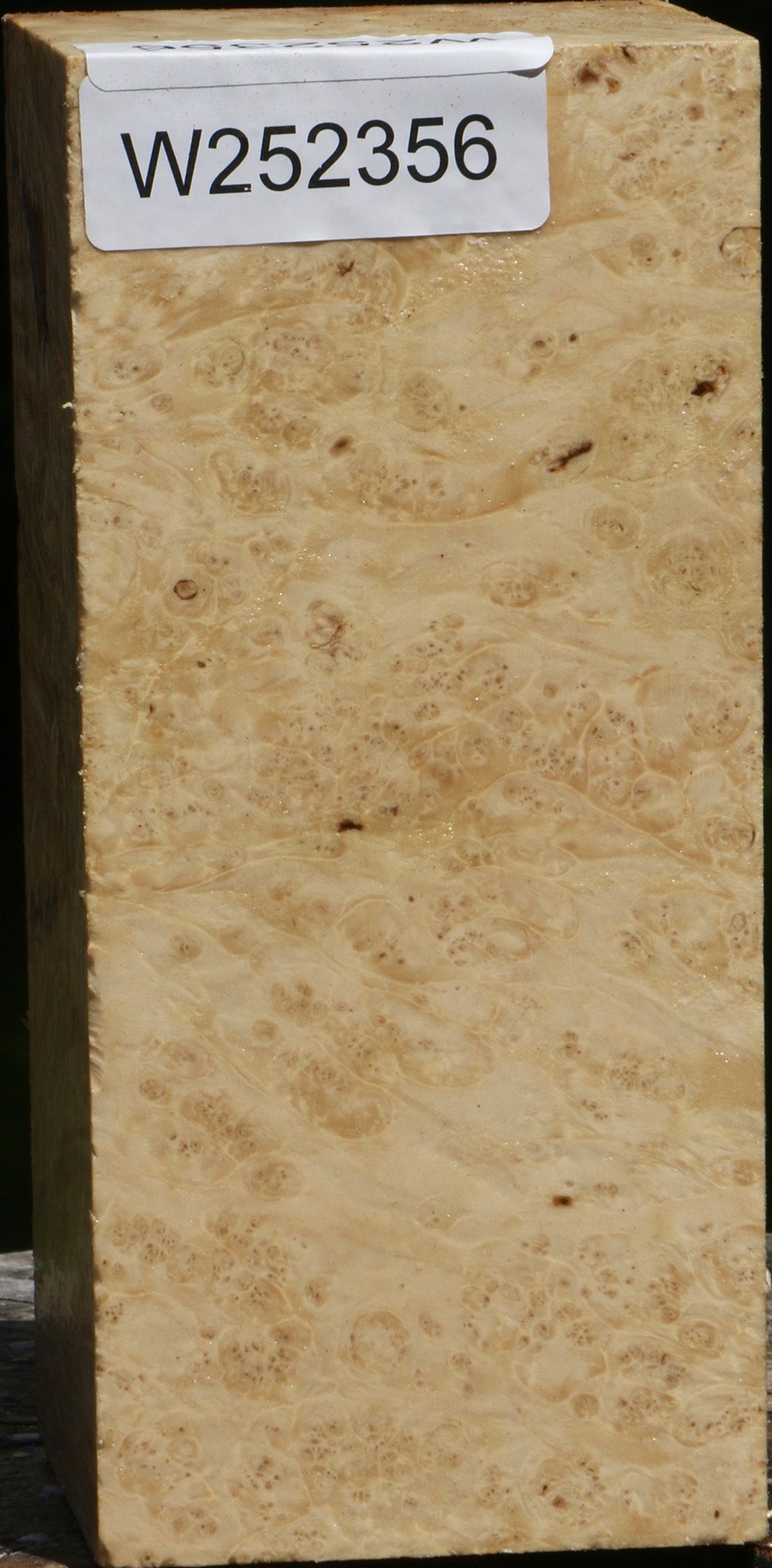 Box Elder Turning Square