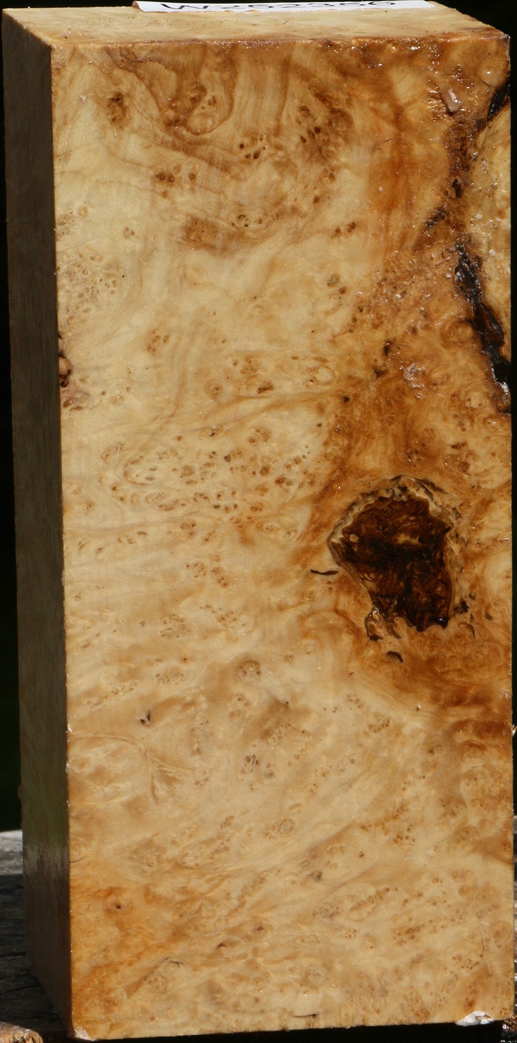 Box Elder Turning Square
