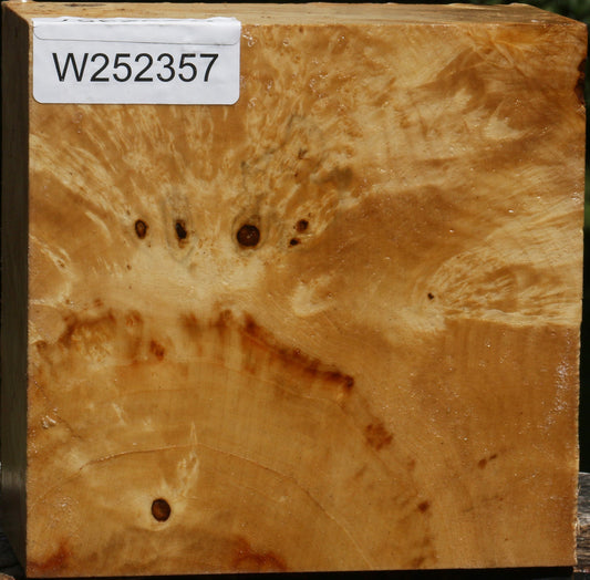 Extra Fancy Box Elder Bowl Blank