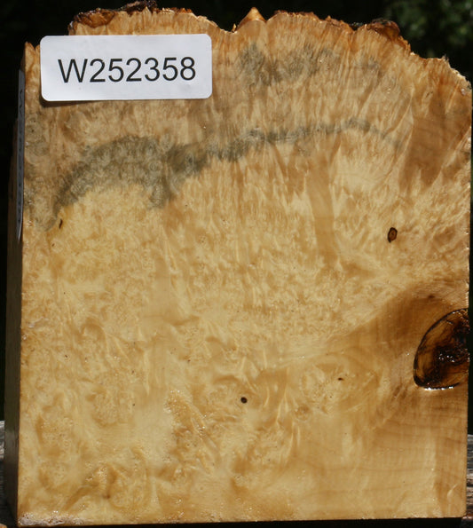 Box Elder Burl Live Edge Turning Blank
