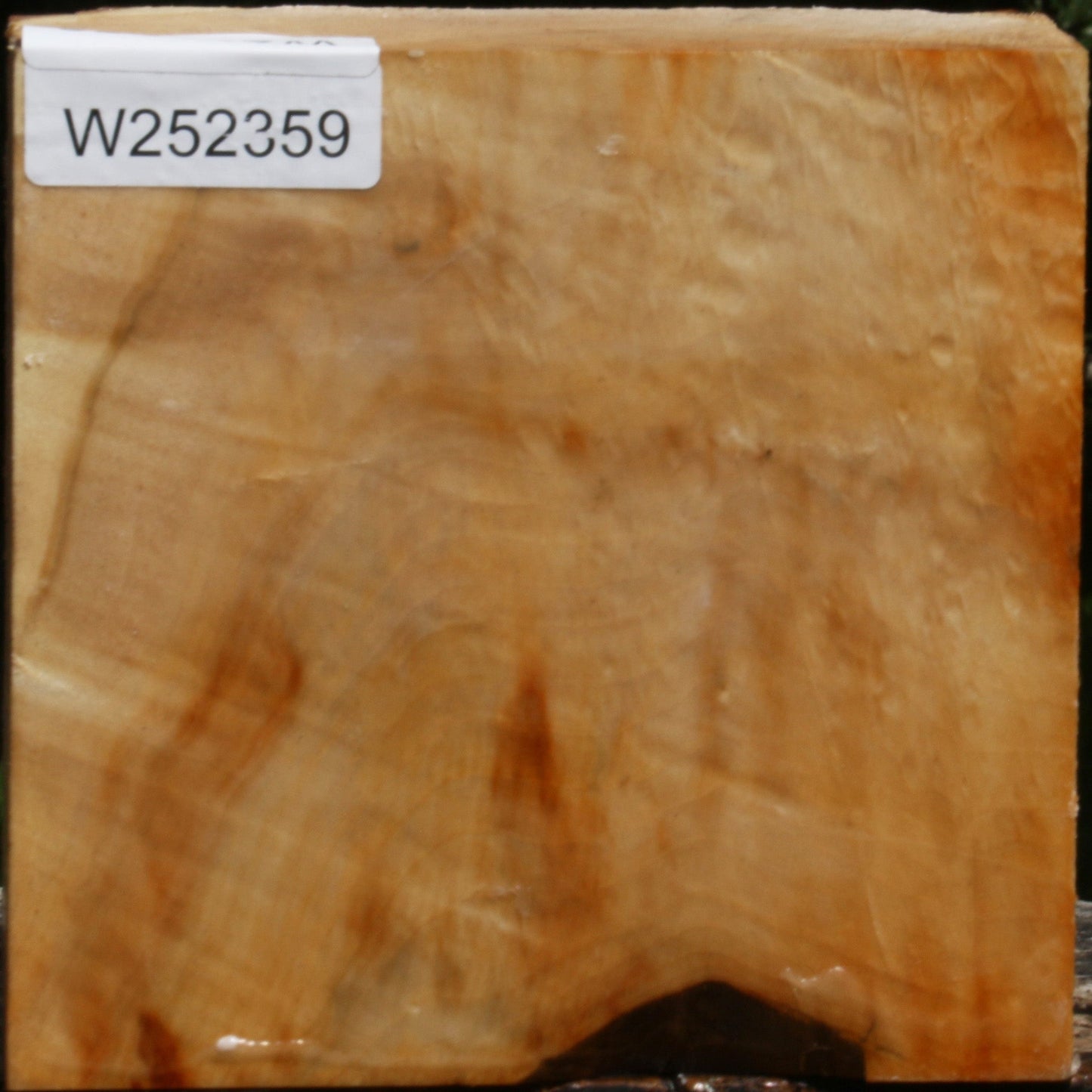 Figured Box Elder Bowl Blank