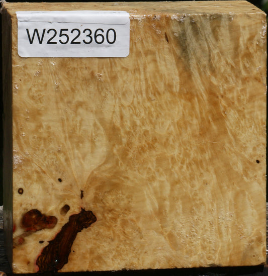 Box Elder Burl Bowl Blank