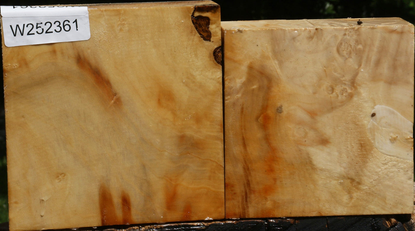 Box Elder Bowl Blank 2 Pack
