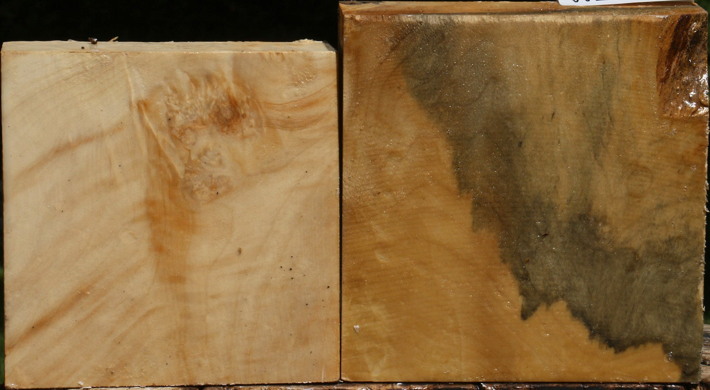 Box Elder Bowl Blank 2 Pack