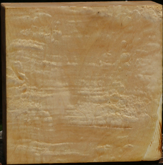 Extra Fancy Box Elder Bowl Blank
