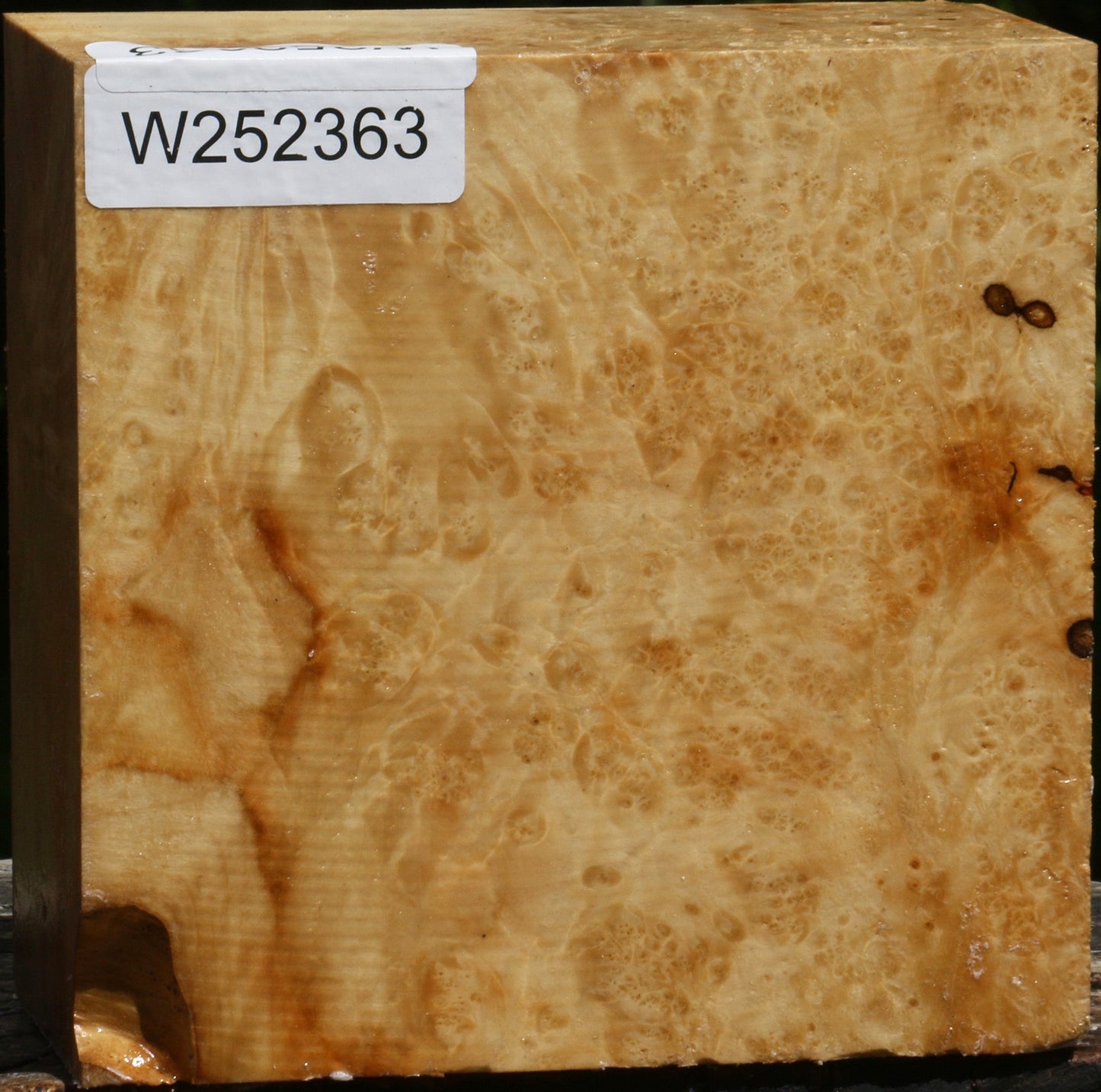 Rustic Box Elder Burl Bowl Blank