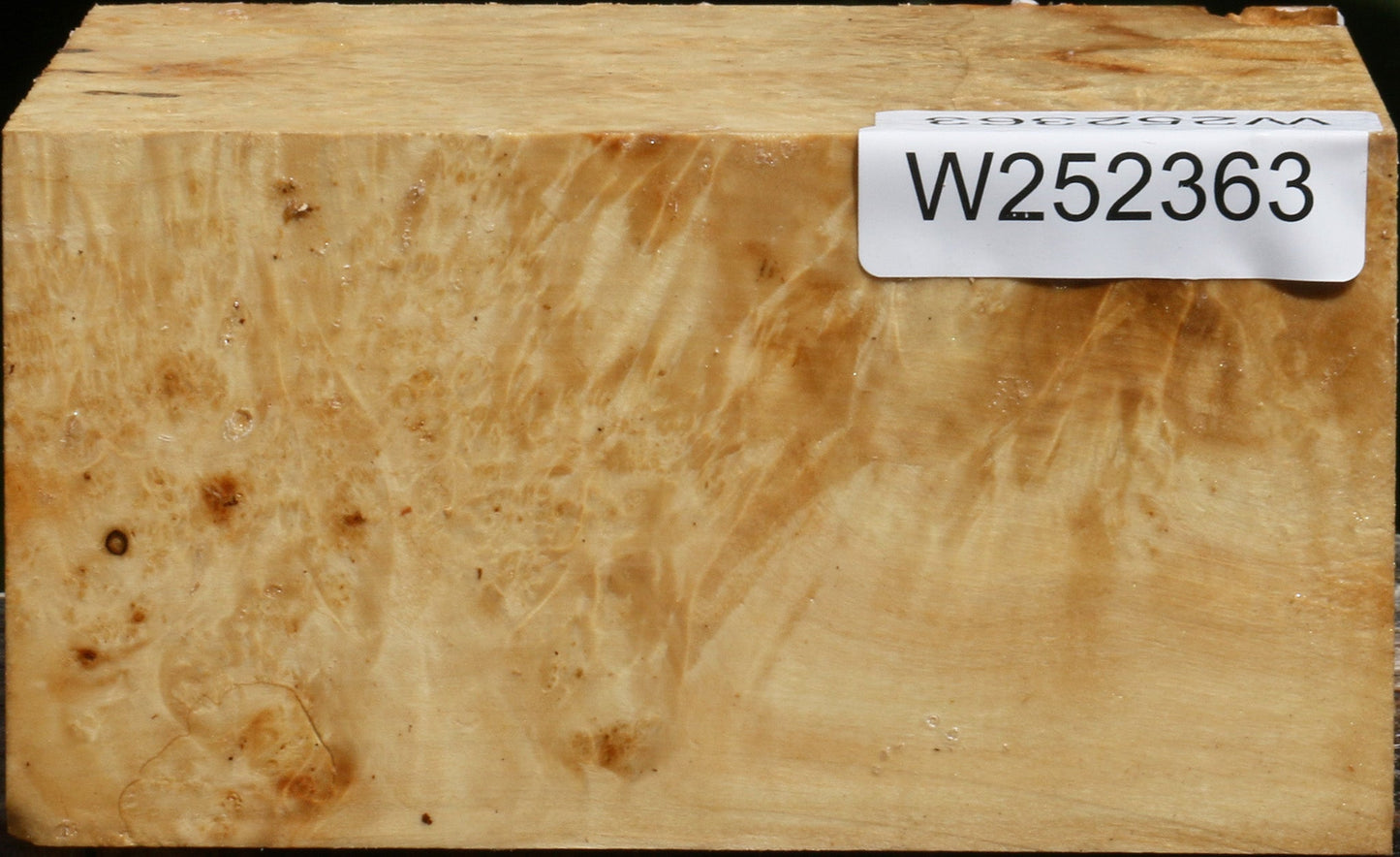 Rustic Box Elder Burl Bowl Blank