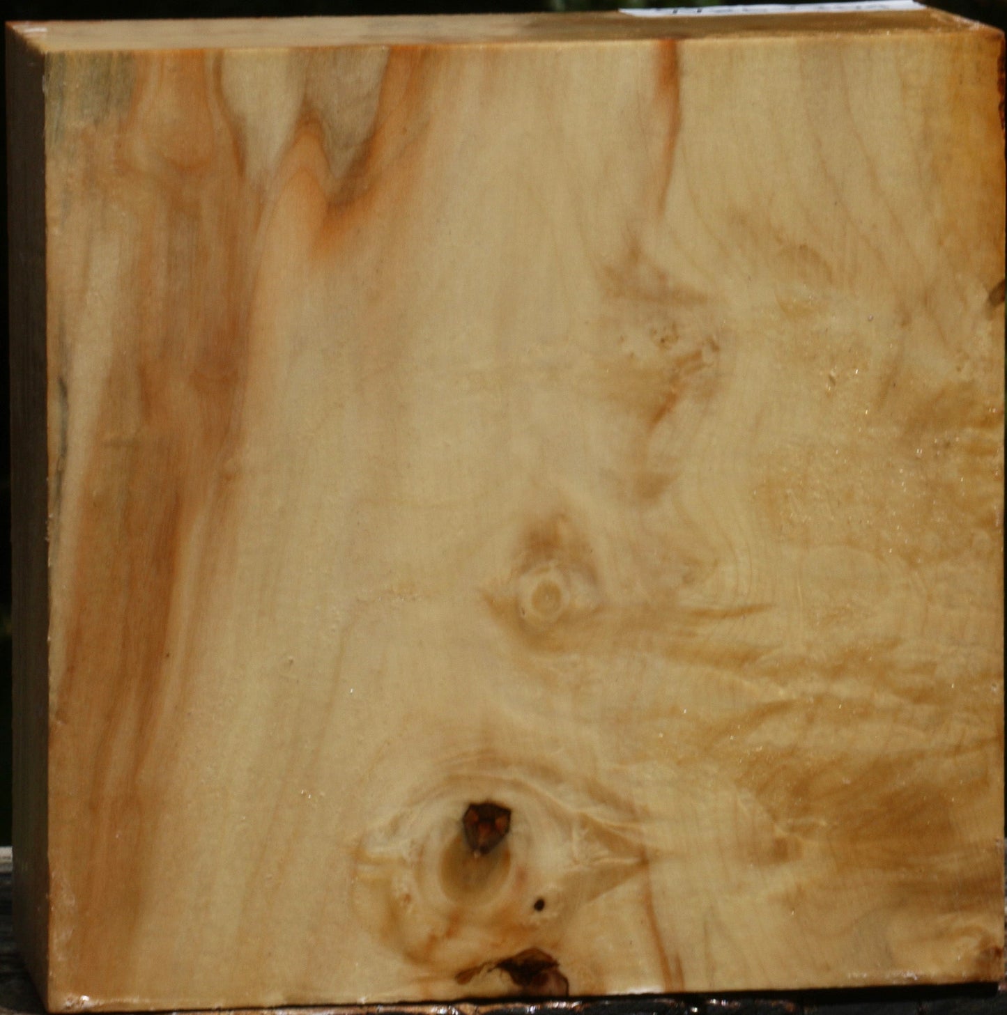 Figured Box Elder Bowl Blank