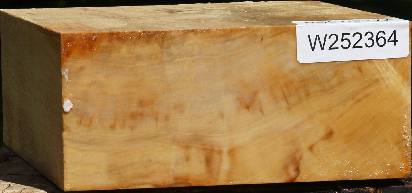 Figured Box Elder Bowl Blank