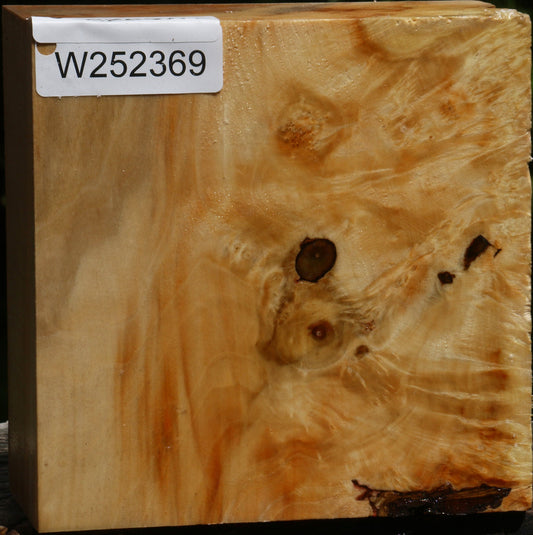 Figured Box Elder Bowl Blank