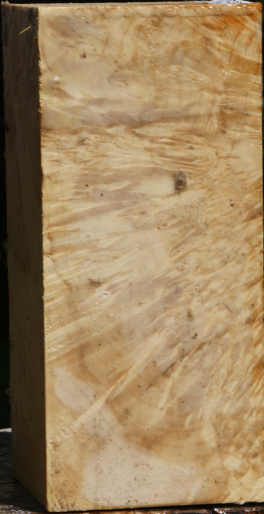 Extra Fancy Box Elder Vessel Blank