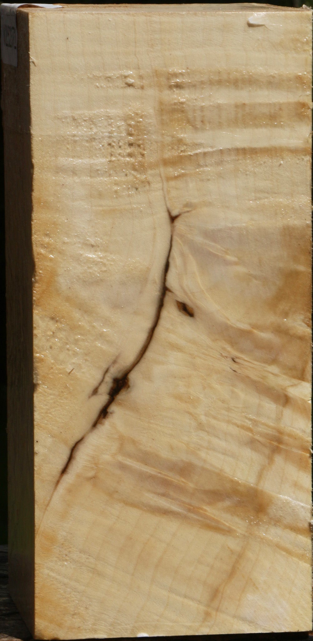 Extra Fancy Box Elder Vessel Blank