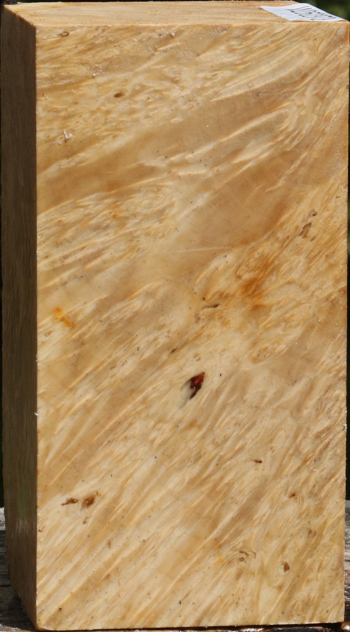 Box Elder Burl Turning Square