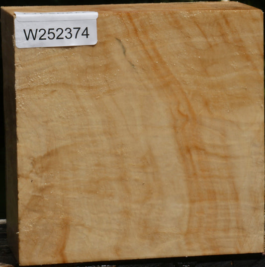 Extra Fancy Box Elder Bowl Blank