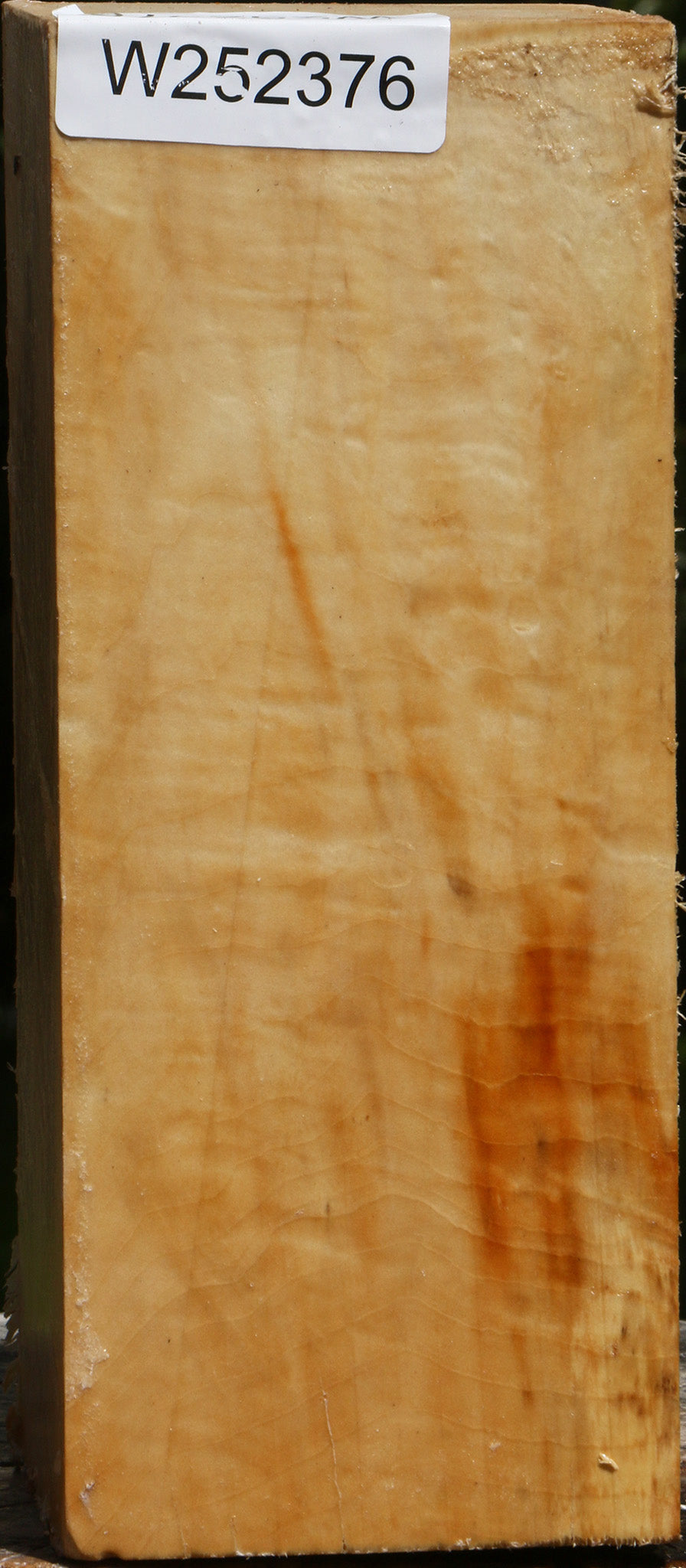 Extra Fancy Box Elder Vessel Blank