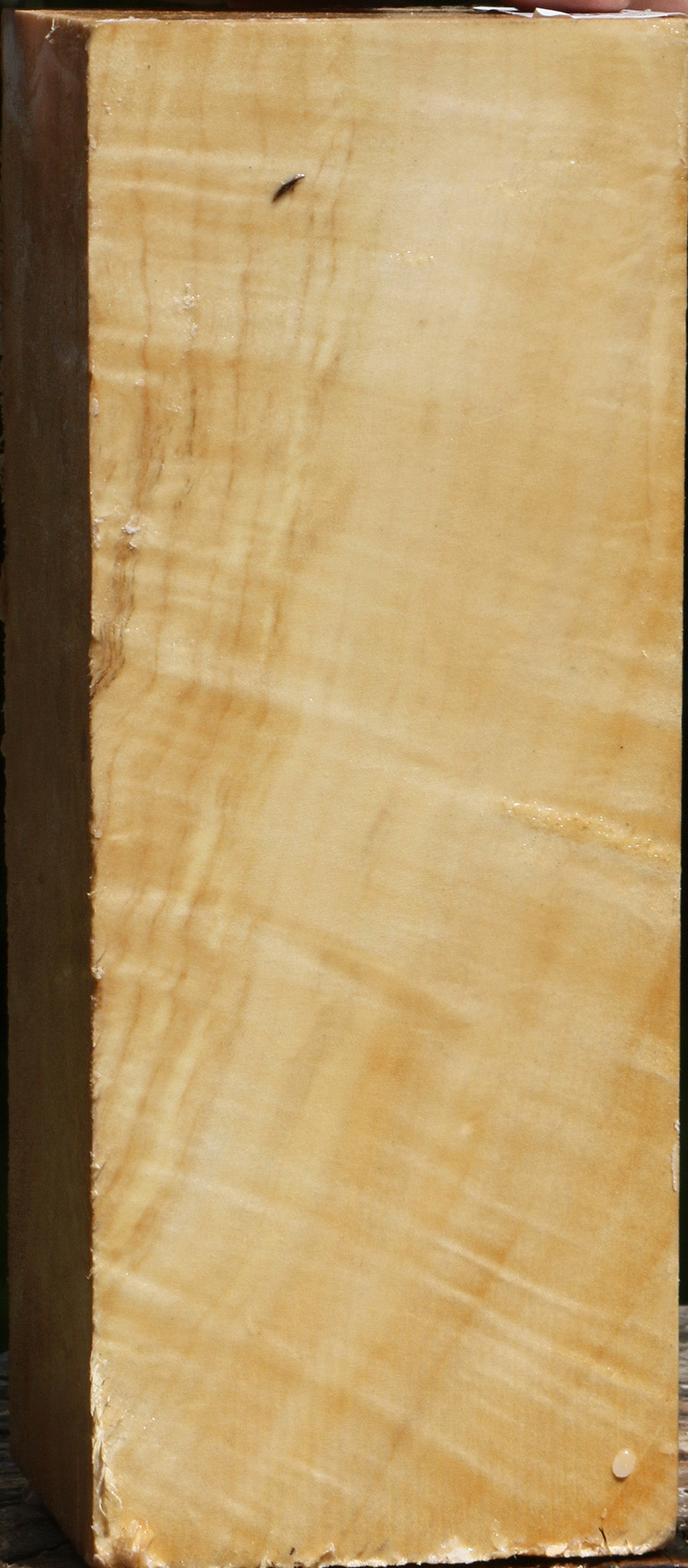 Extra Fancy Box Elder Vessel Blank