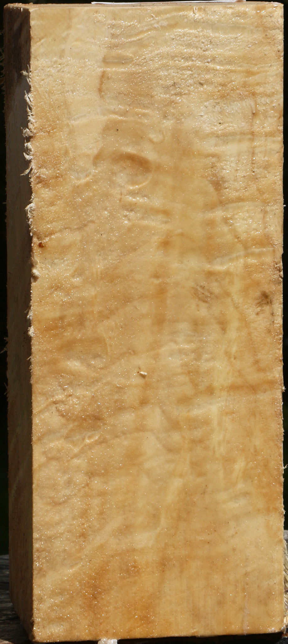 Extra Fancy Box Elder Vessel Blank