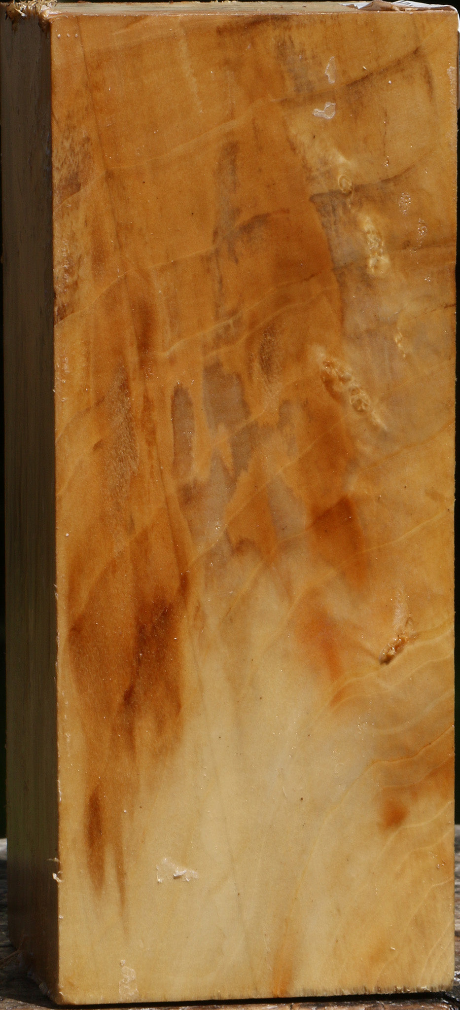 Box Elder Turning Square