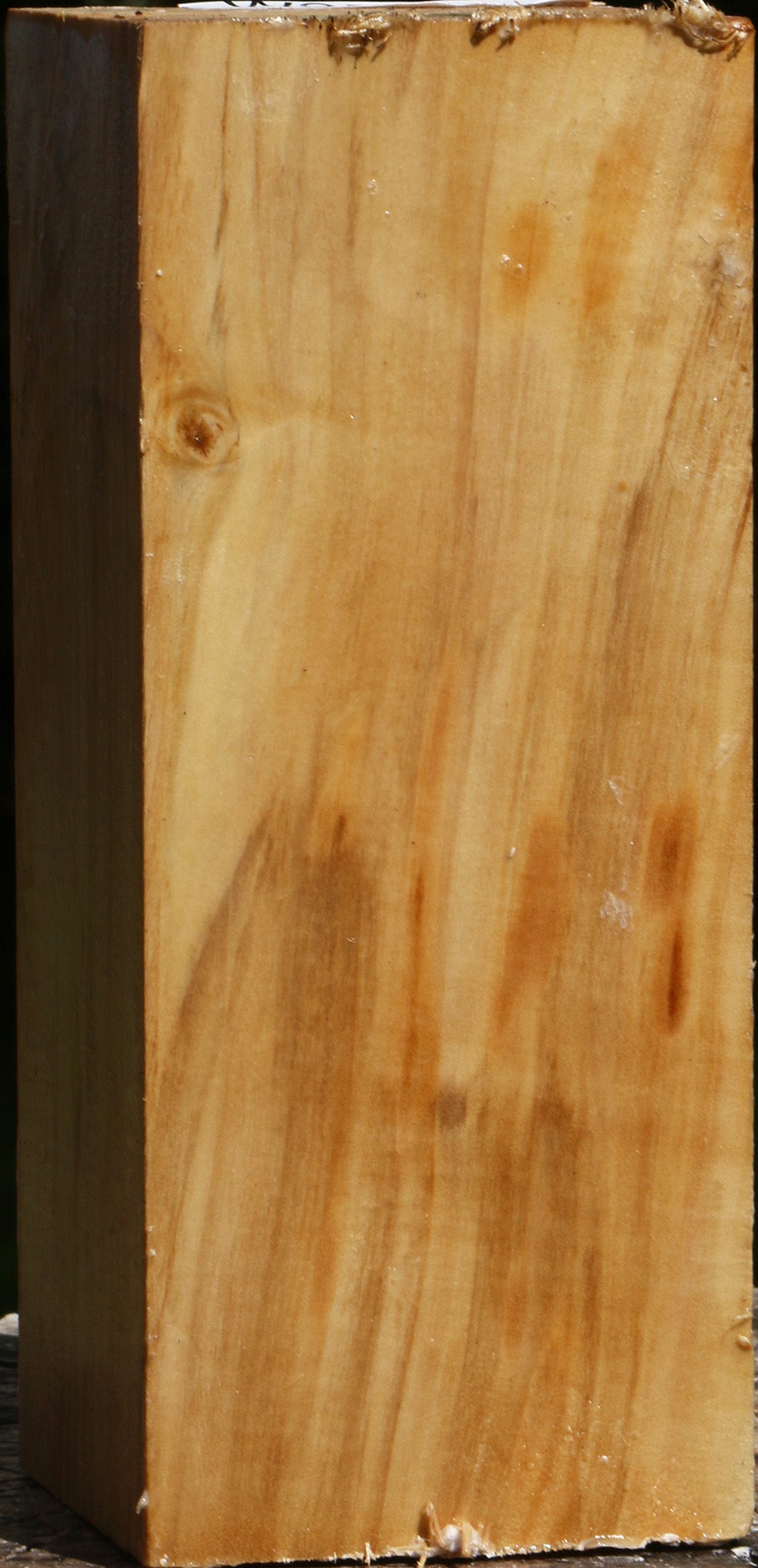 Box Elder Turning Square