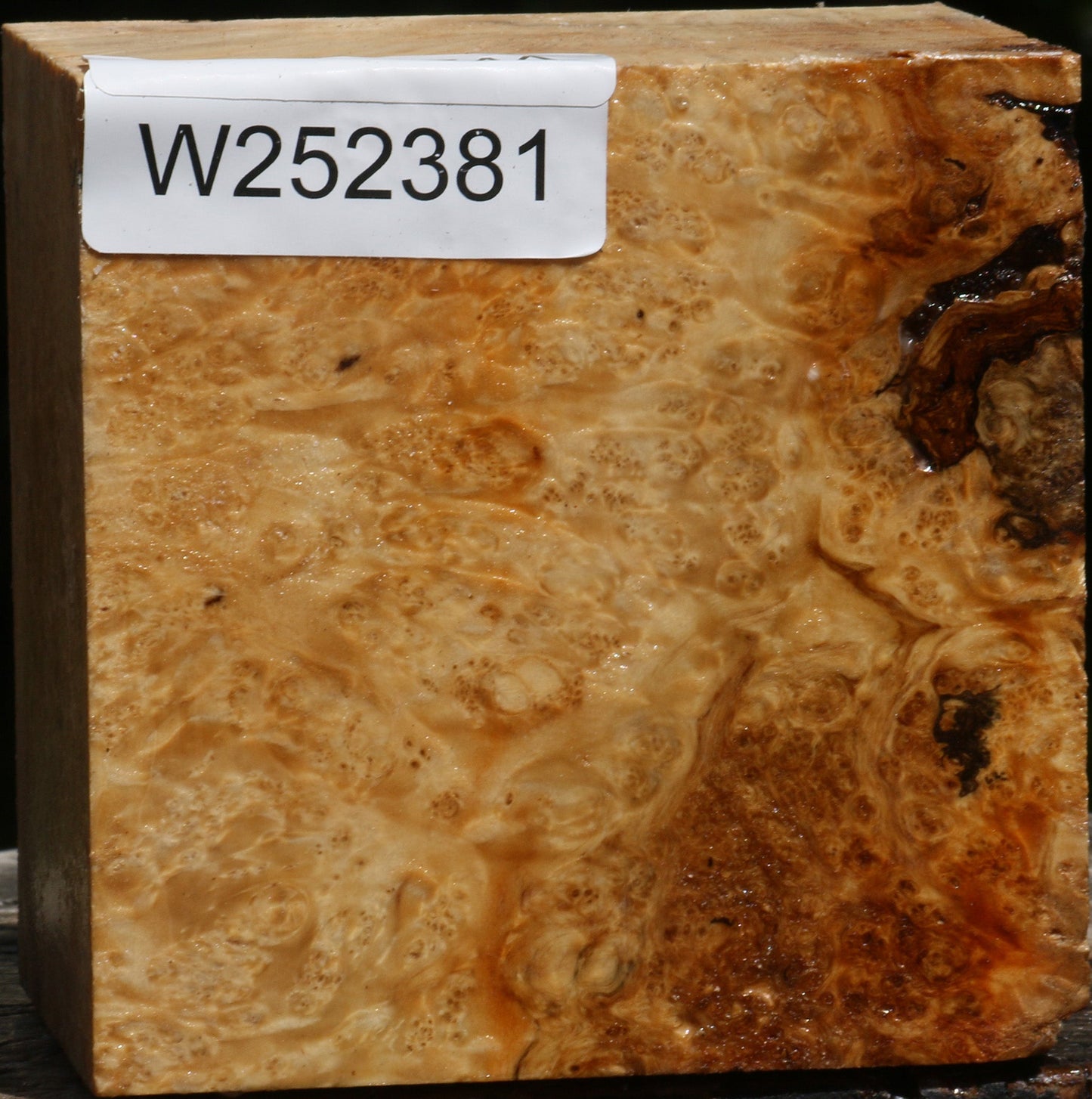 Box Elder Burl Live Edge Bowl Blank