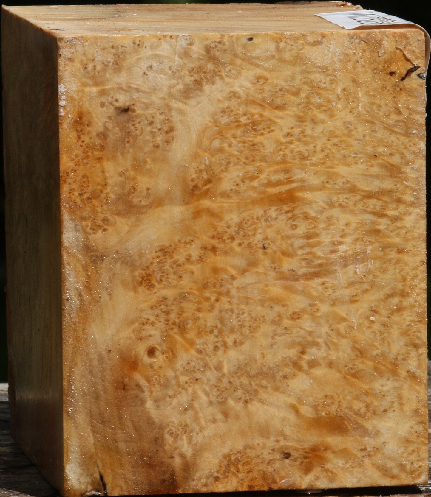 Box Elder Burl Live Edge Bowl Blank