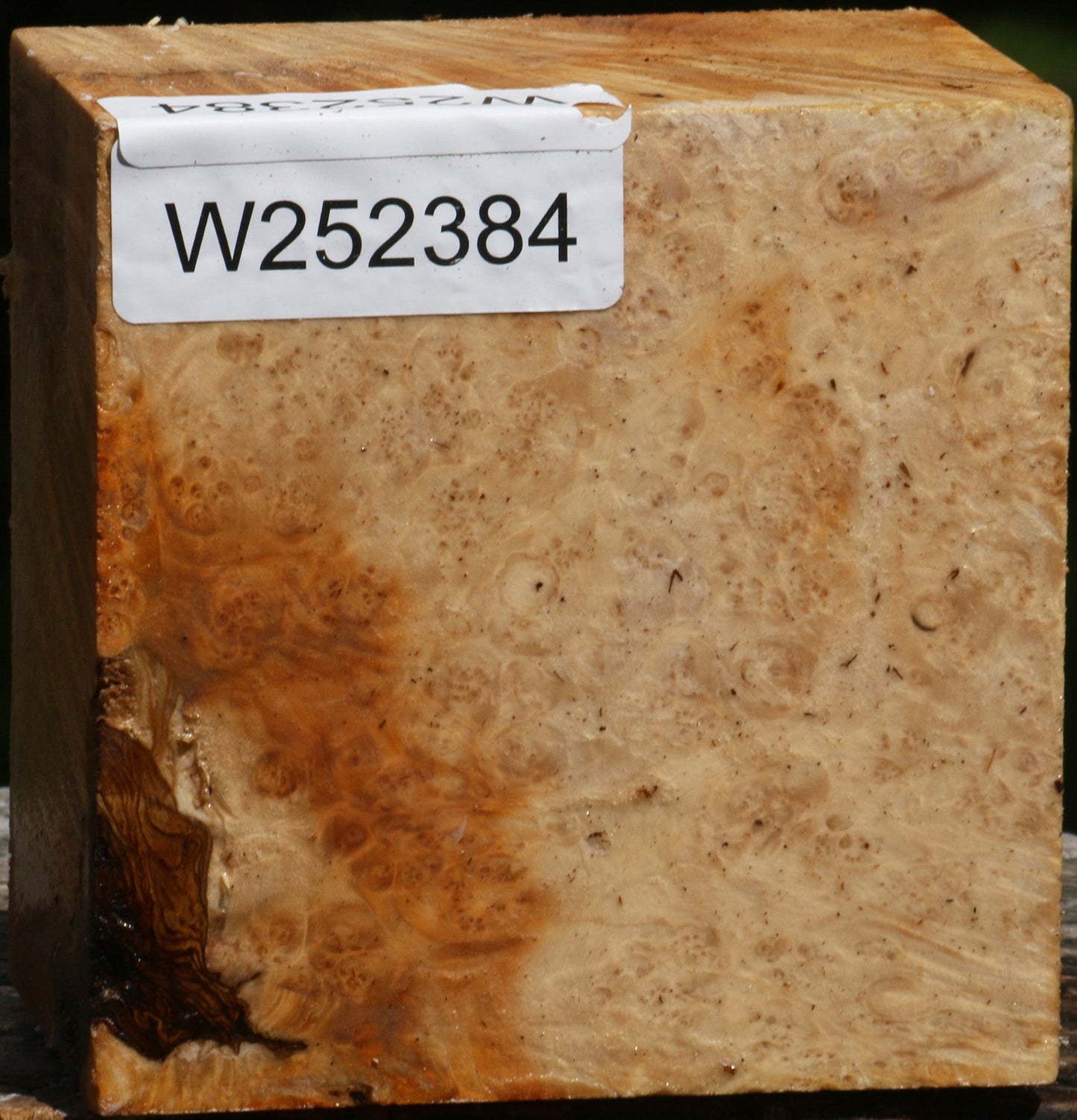 Box Elder Burl Bowl Blank