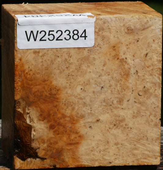 Box Elder Burl Bowl Blank