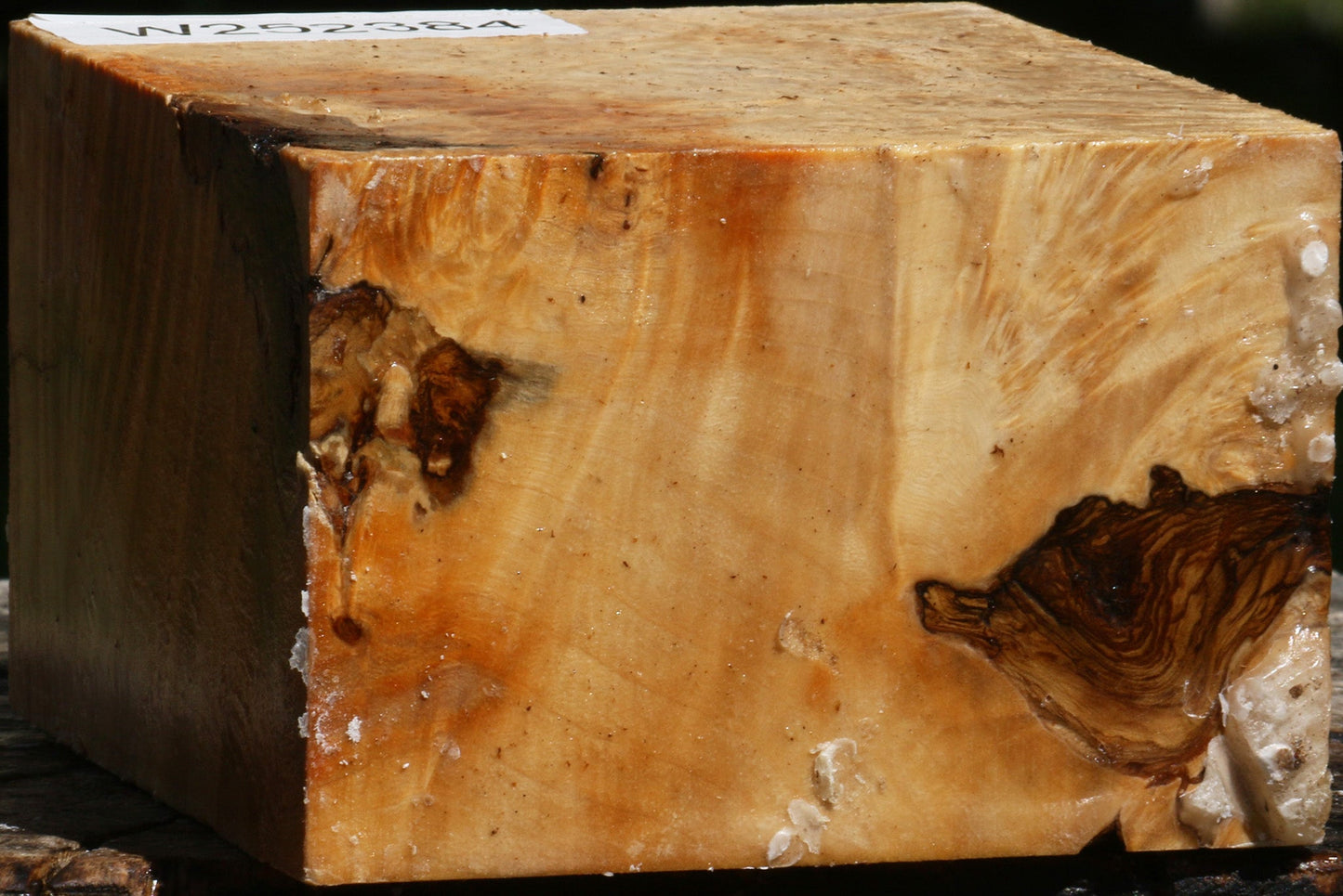 Box Elder Burl Bowl Blank