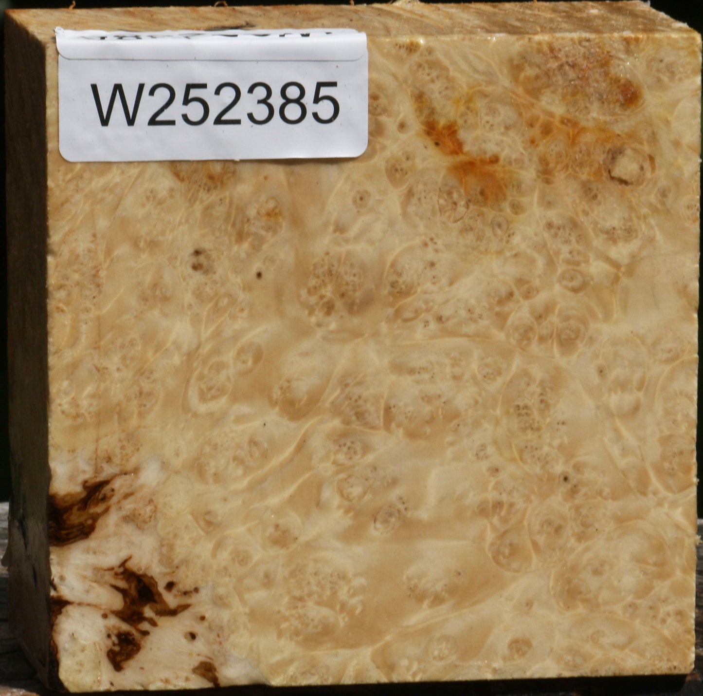 Box Elder Burl Bowl Blank