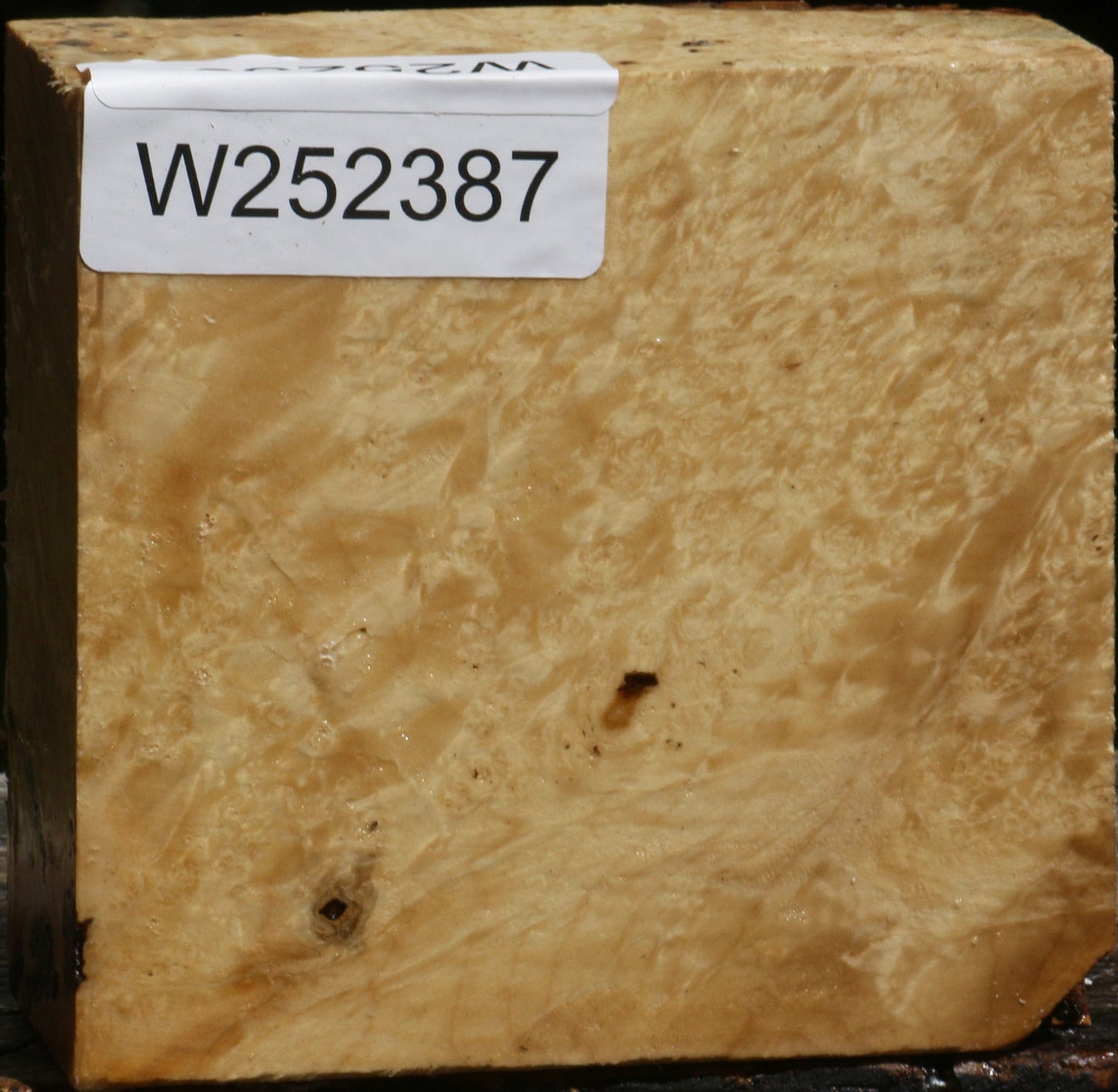 Box Elder Bowl Blank