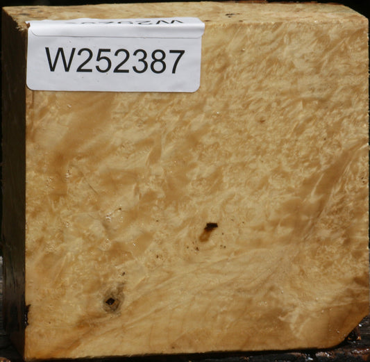 Box Elder Bowl Blank
