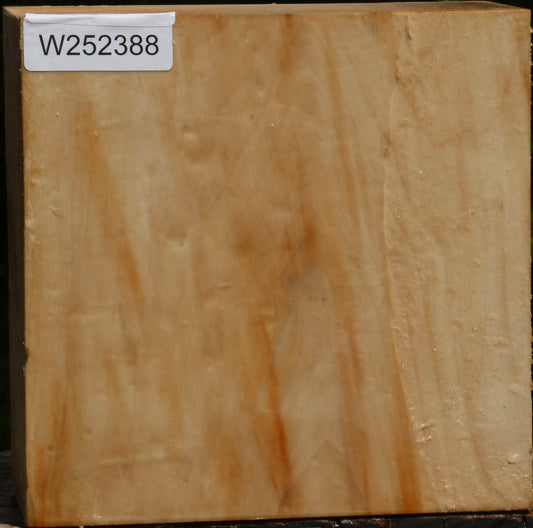 Box Elder Bowl Blank