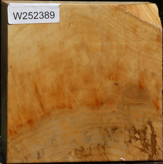 Figured Box Elder Bowl Blank