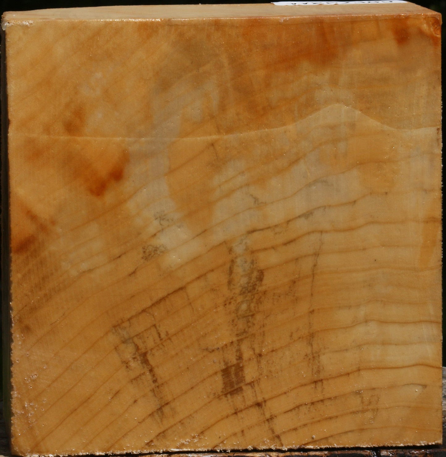 Figured Box Elder Bowl Blank