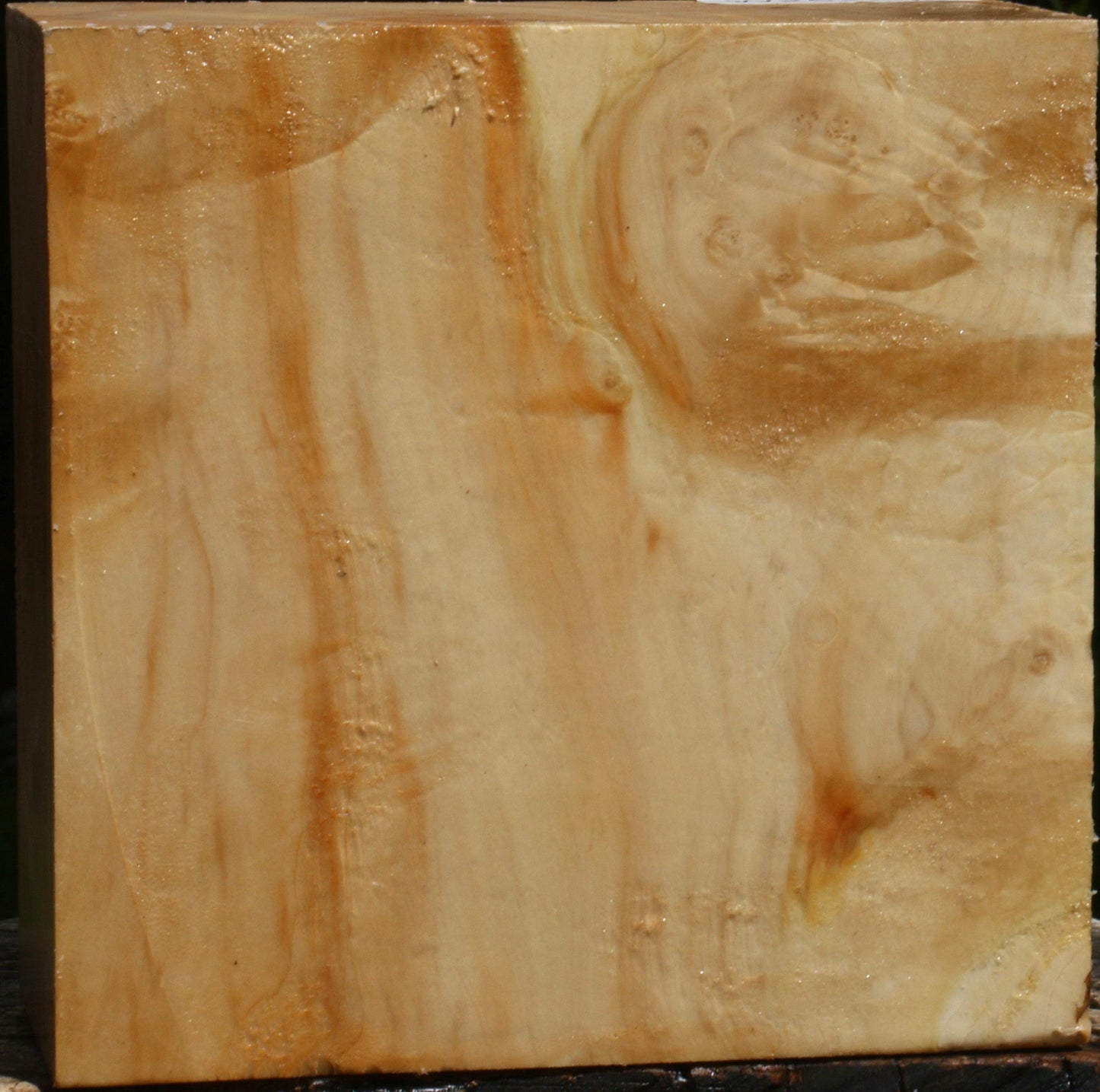 Extra Fancy Box Elder Bowl Blank