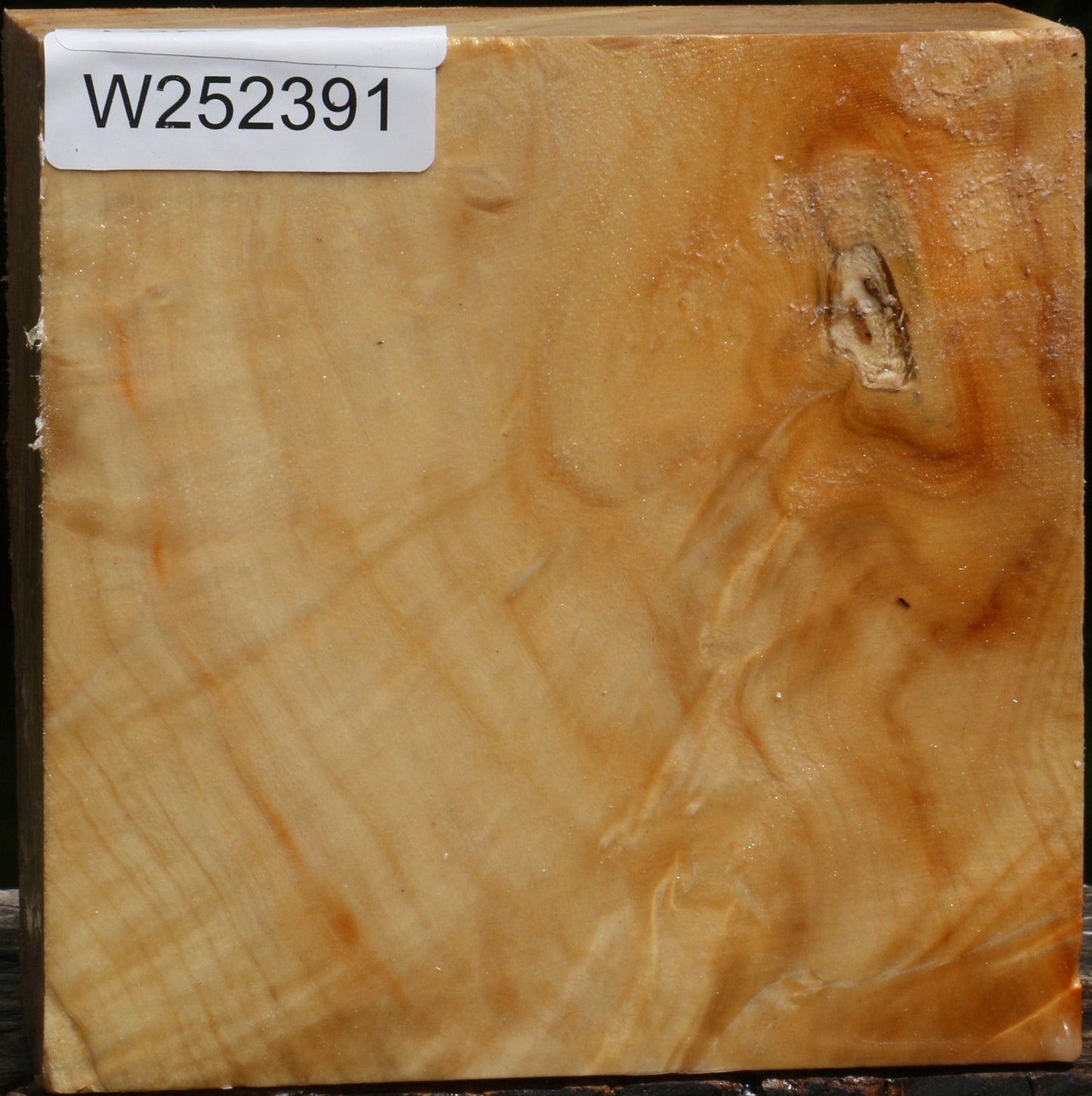 Extra Fancy Box Elder Bowl Blank