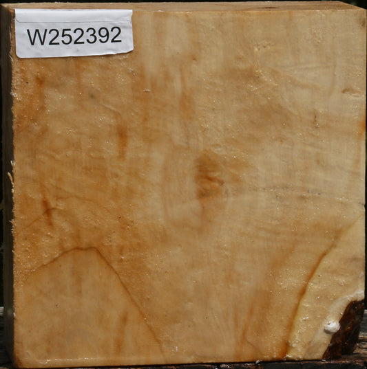 Figured Box Elder Bowl Blank