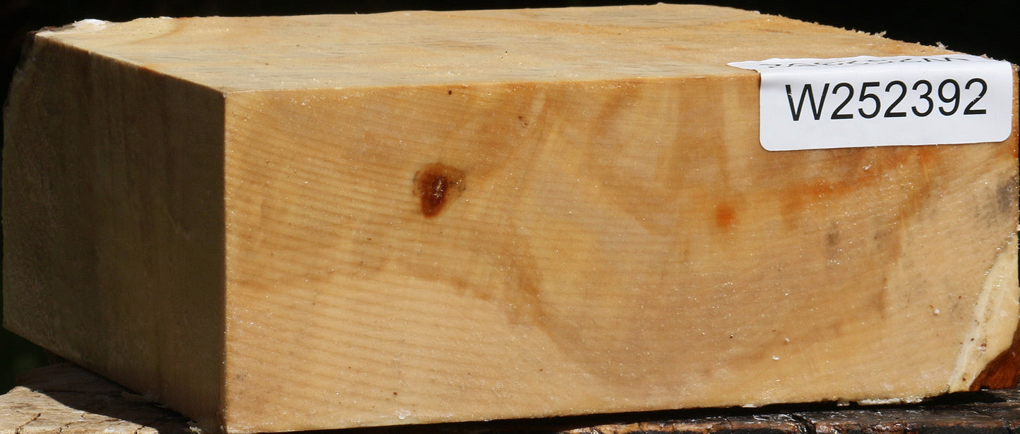 Figured Box Elder Bowl Blank
