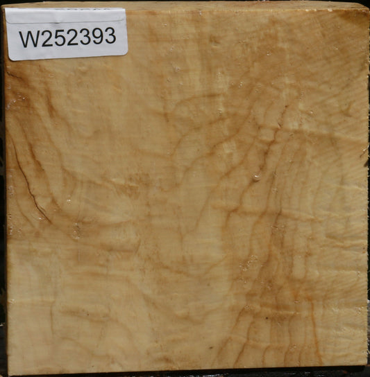 Extra Fancy Box Elder Bowl Blank