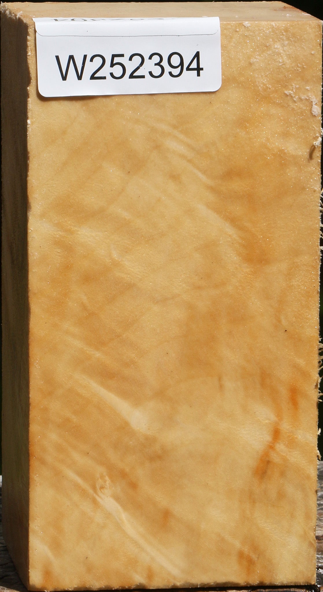 Figured Box Elder Turning Square