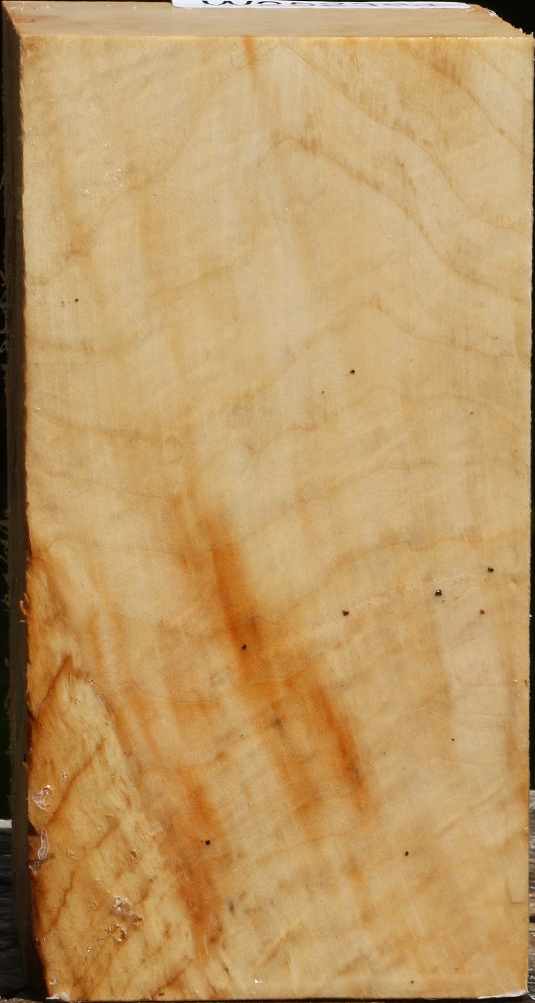 Figured Box Elder Turning Square