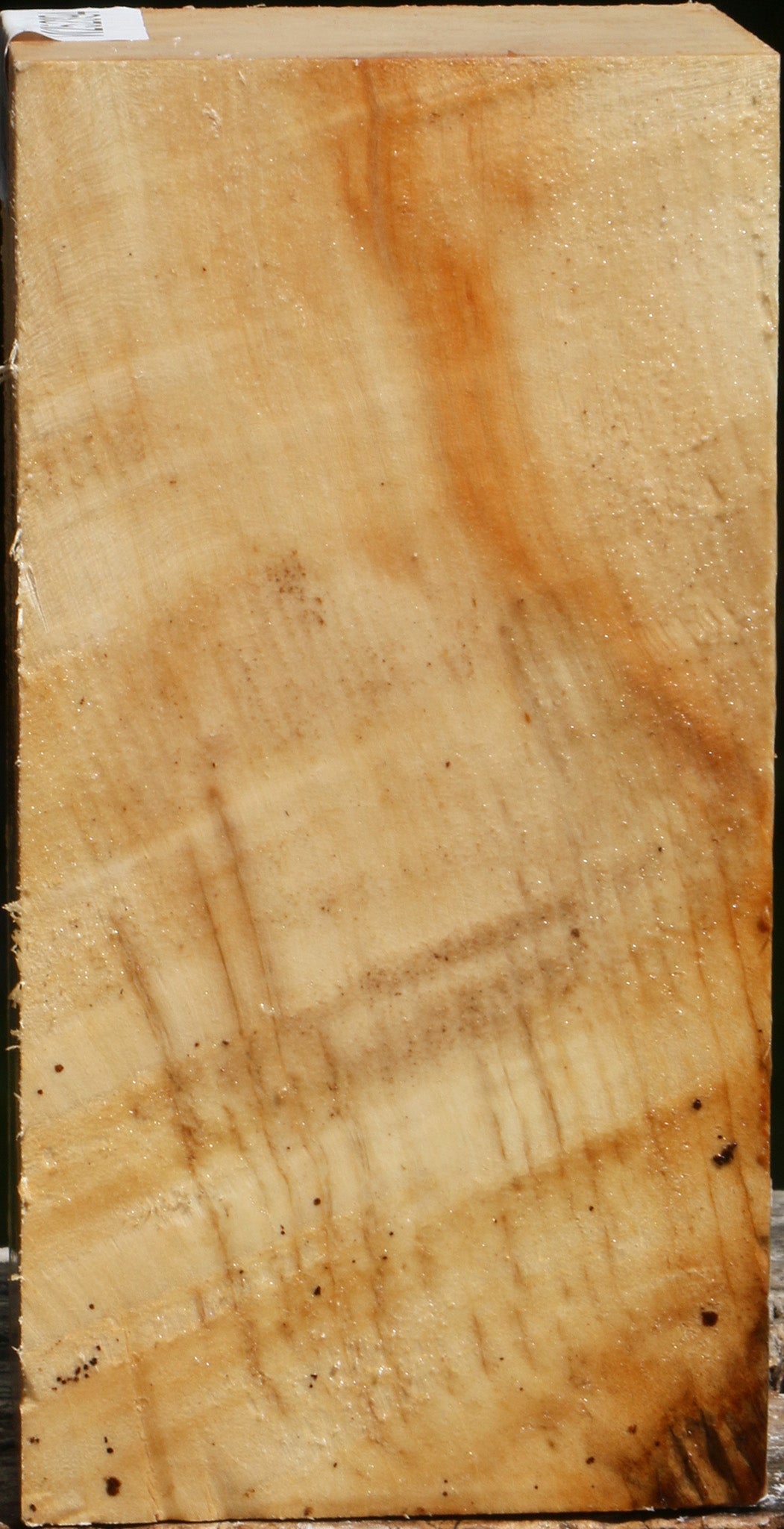 Figured Box Elder Turning Square