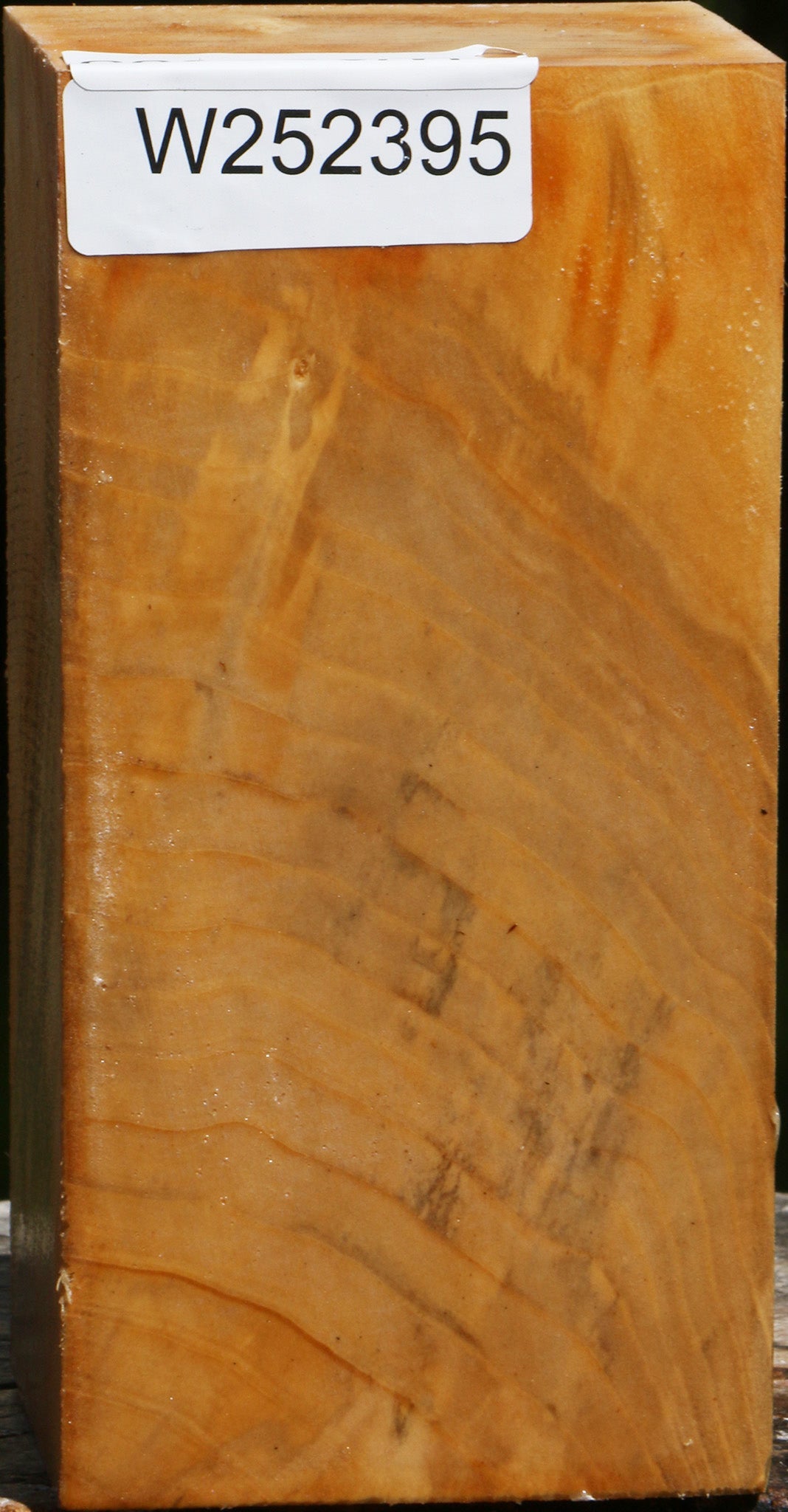 Figured Box Elder Turning Square