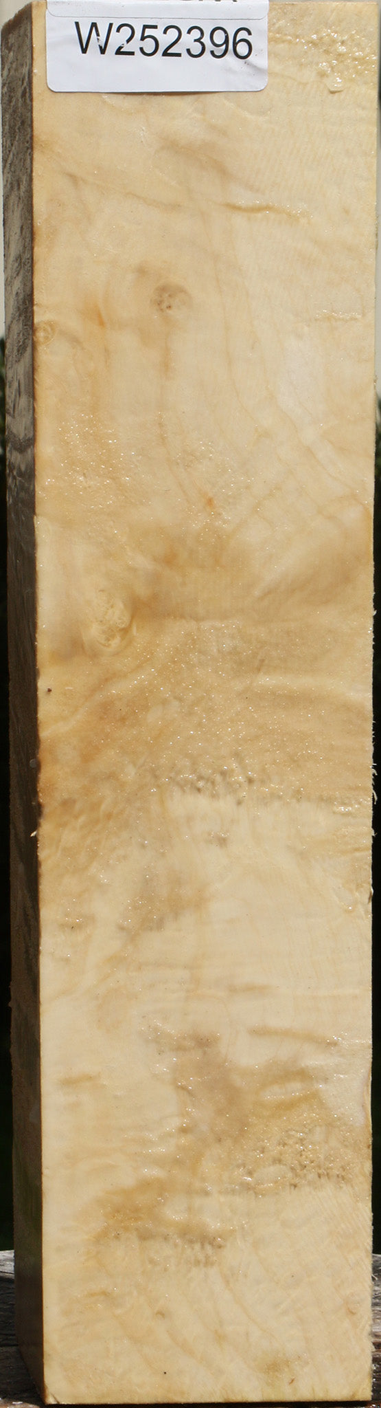 Extra Fancy Box Elder Vessel Blank